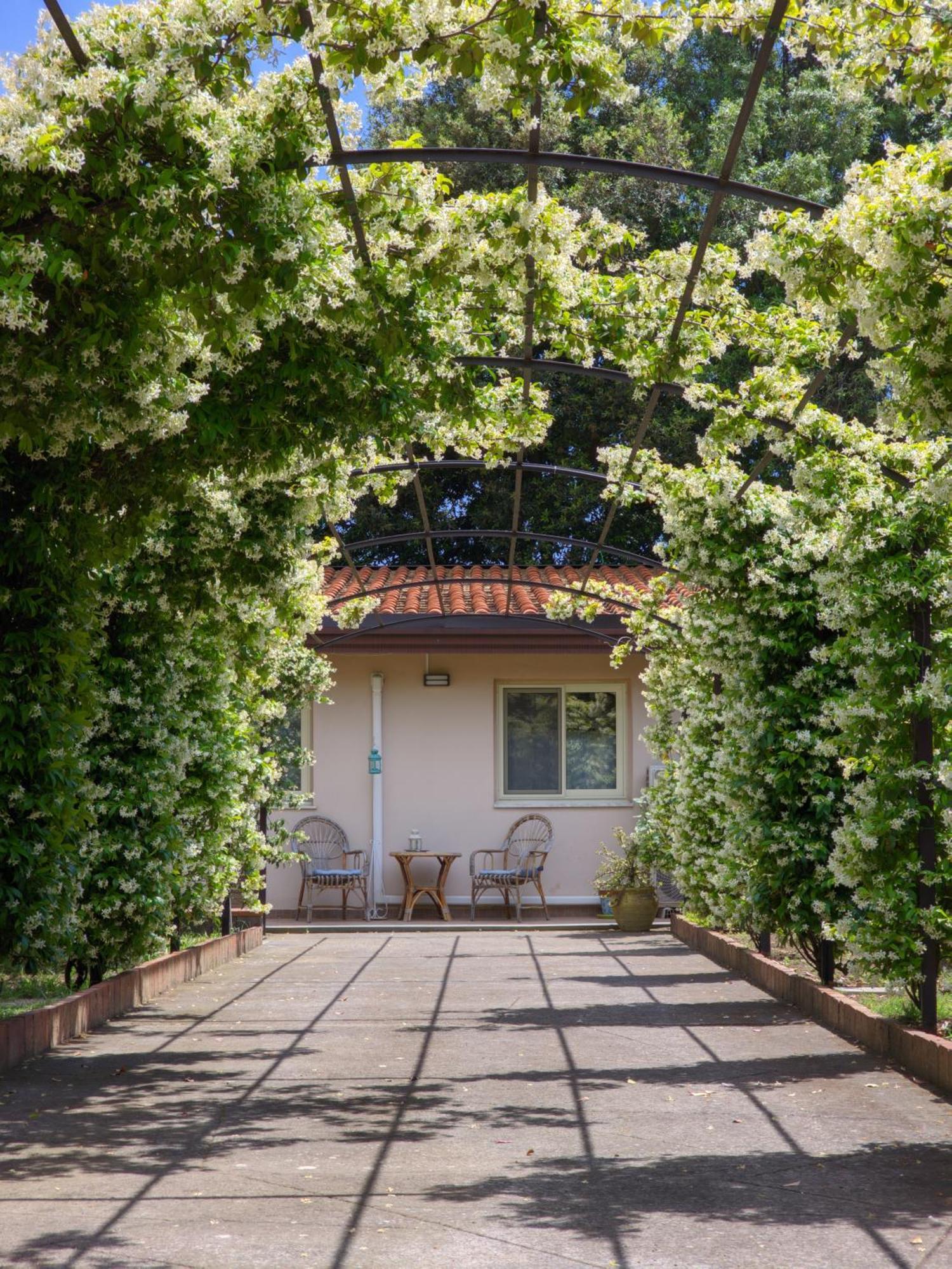 Il Gelsomineto Dell'etna Appartement *