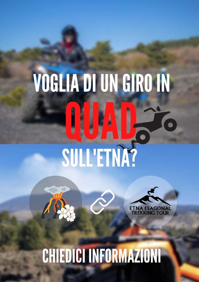 Il Gelsomineto Dell'etna Nicolosi