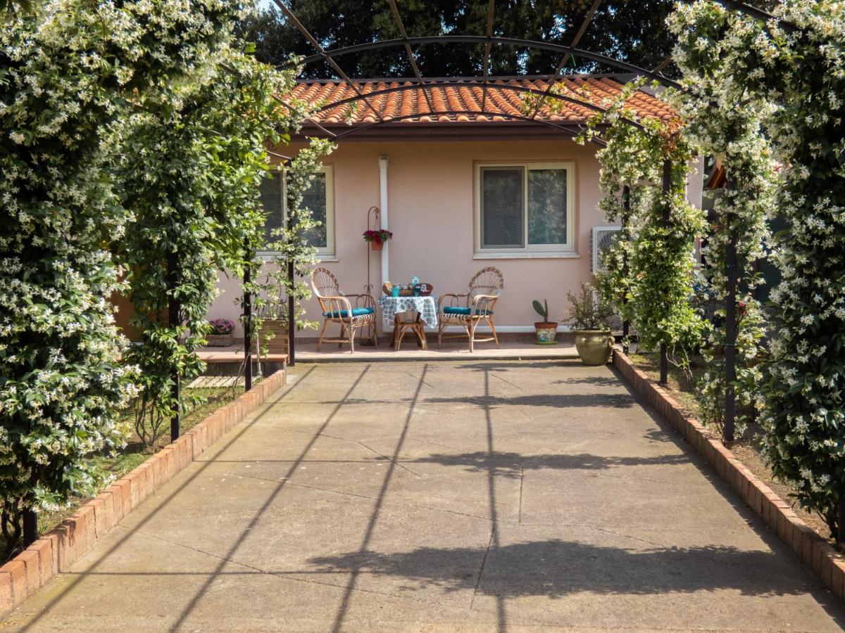 Il Gelsomineto Dell'etna Apartment *